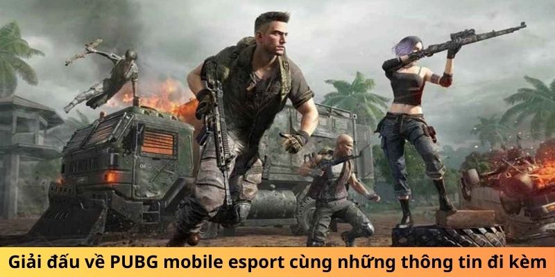 Giải đấu về PUBG mobile esport cùng những thông tin đi kèm